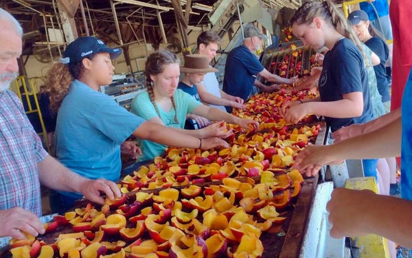 Gleanings for the Hungry Foundation